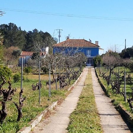 Casa Azul Tomar privé vakantiehuis + zwembad Buitenkant foto