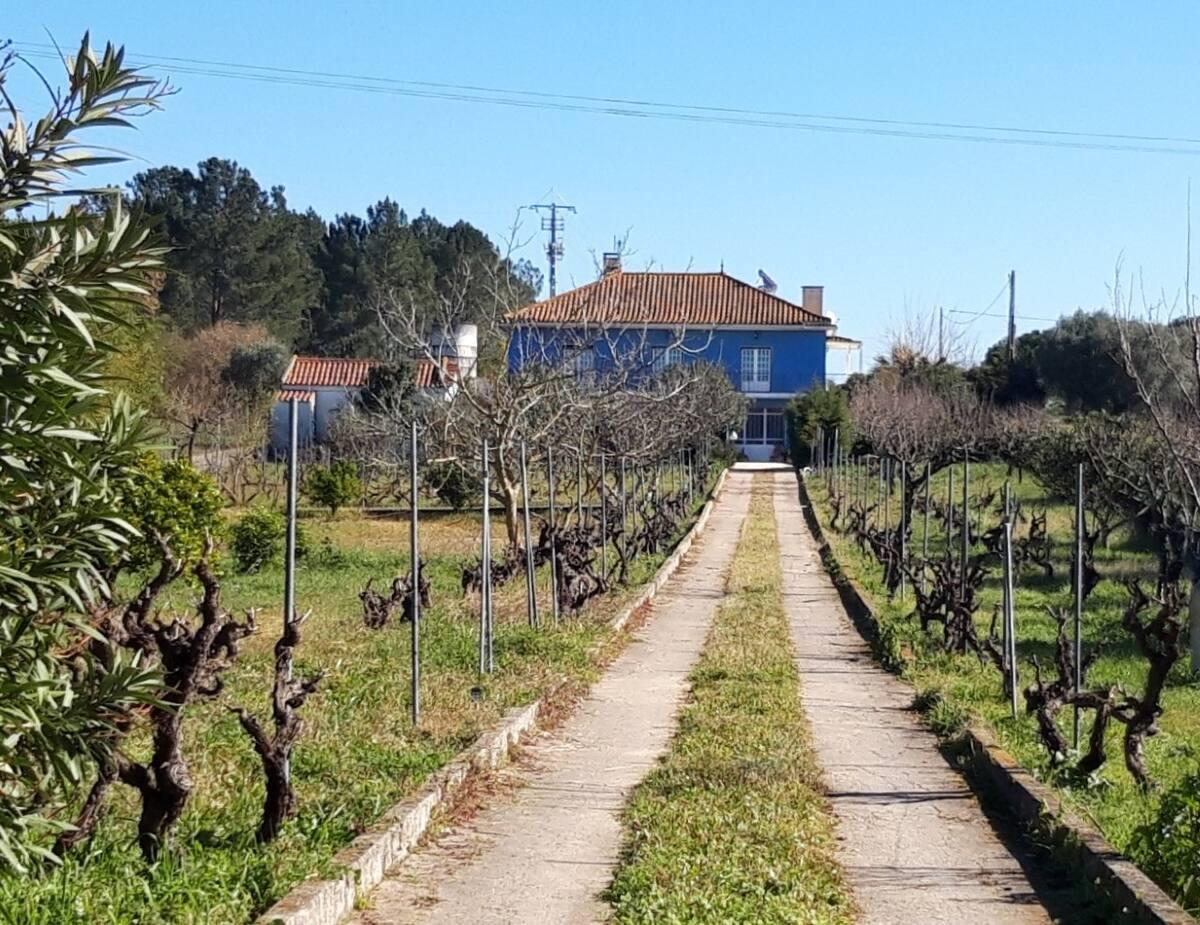 Casa Azul Tomar privé vakantiehuis + zwembad Buitenkant foto