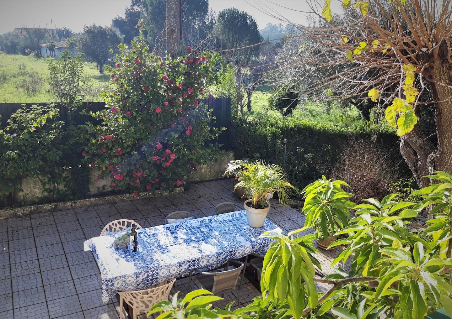 Casa Azul Tomar privé vakantiehuis + zwembad Buitenkant foto