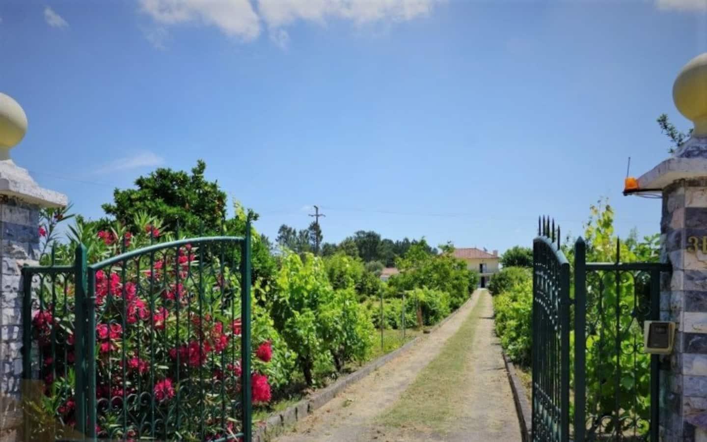 Casa Azul Tomar privé vakantiehuis + zwembad Buitenkant foto