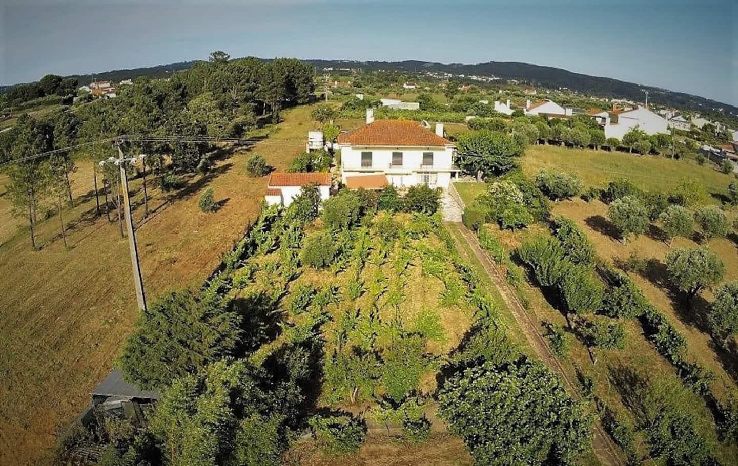 Casa Azul Tomar privé vakantiehuis + zwembad Buitenkant foto