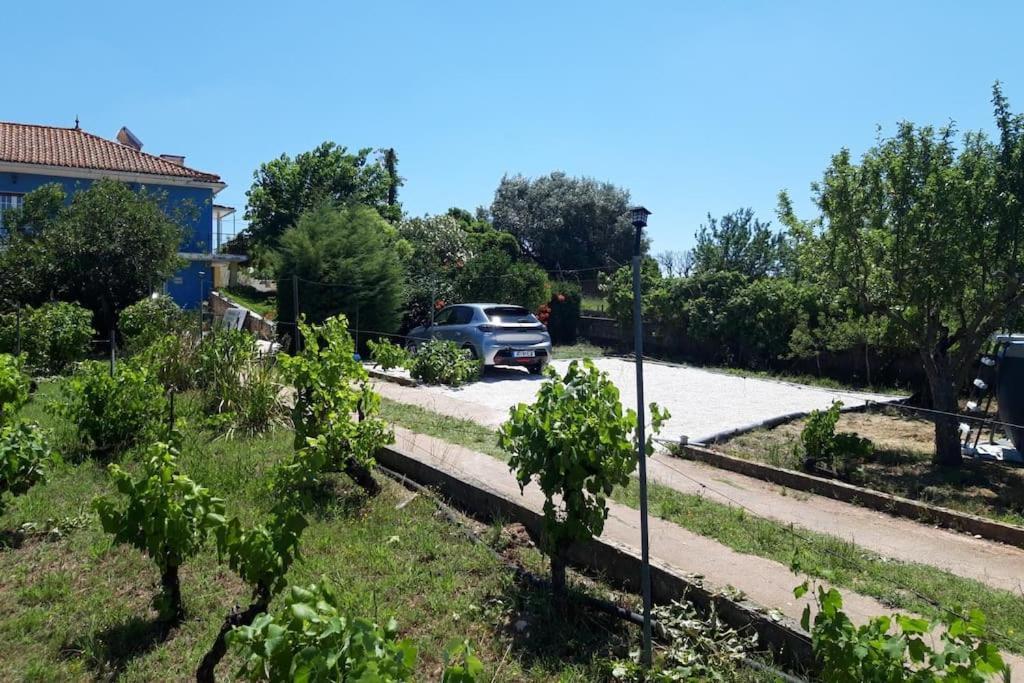 Casa Azul Tomar privé vakantiehuis + zwembad Buitenkant foto