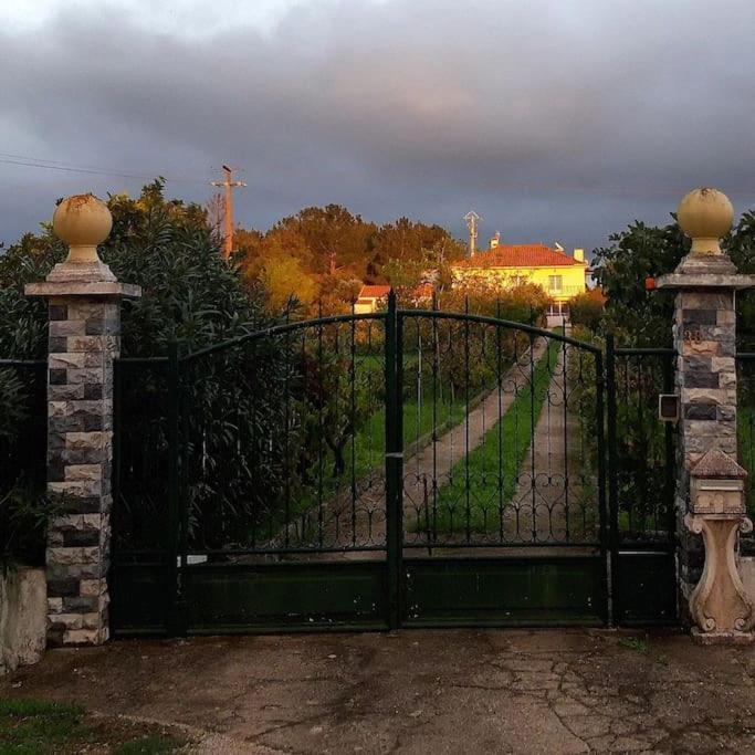 Casa Azul Tomar privé vakantiehuis + zwembad Buitenkant foto