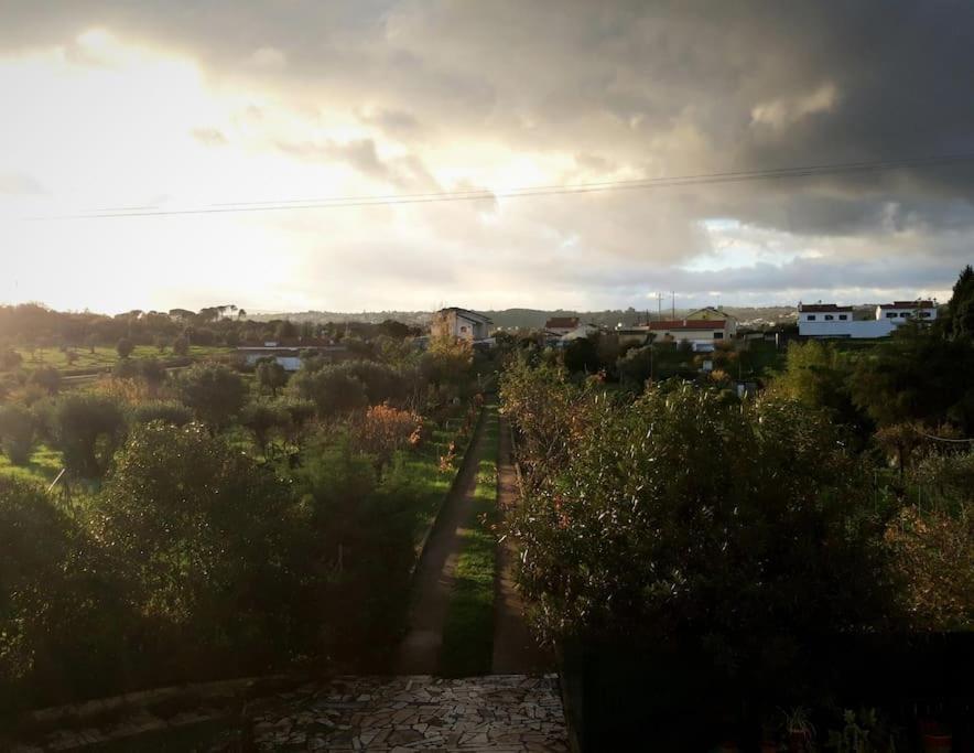Casa Azul Tomar privé vakantiehuis + zwembad Buitenkant foto